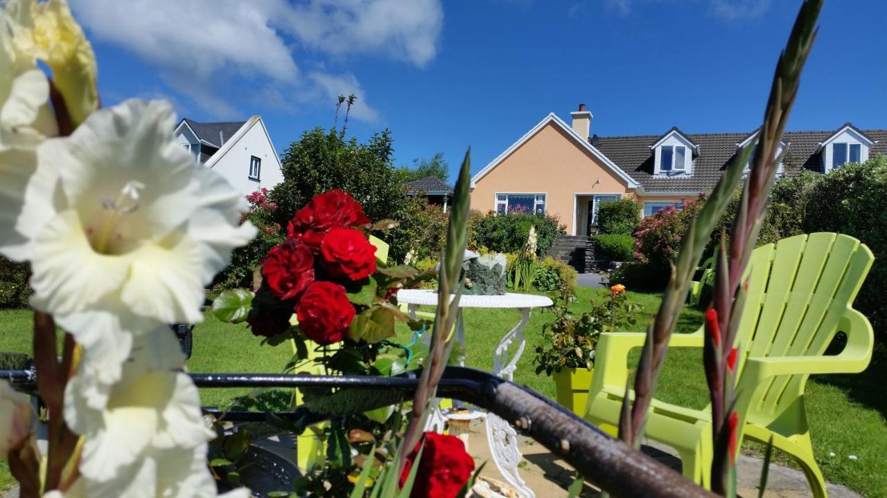 The Plough B&B Ventry Exterior photo