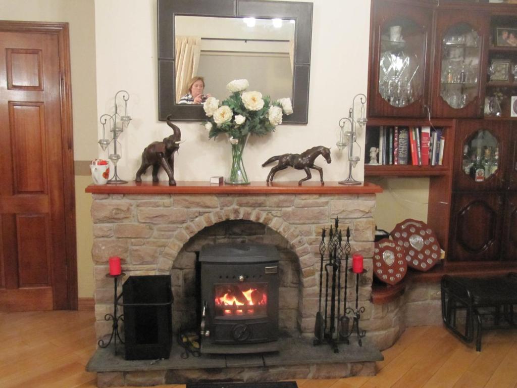 The Plough B&B Ventry Exterior photo